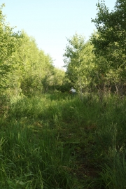 Nettoyage des chemins