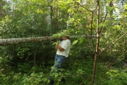 Travail sur le chemin suspendu