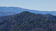 Signal_25_03-137