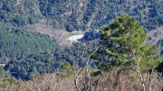 Signal_25_03-85