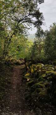 PERIGORD_J03-17