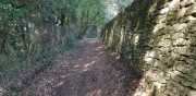 PERIGORD_J03-6