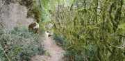 PERIGORD_J03-77