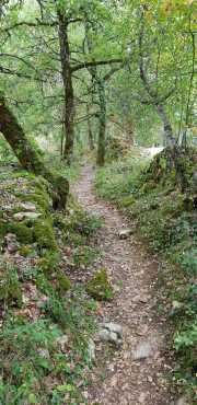 PERIGORD_J03-83