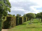 MANOIR-12