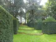 MANOIR-15