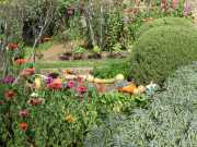 MANOIR-38
