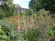 MANOIR-41
