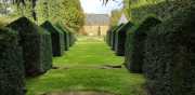 MANOIR-79