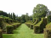 MANOIR-8