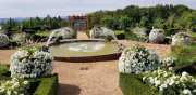 MANOIR-81