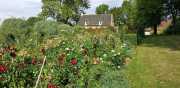 MANOIR-85