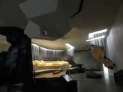 Lascaux-26D