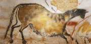 Lascaux-32