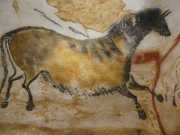 Lascaux-50