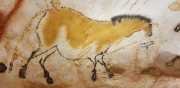 Lascaux-51