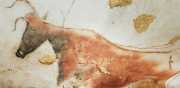 Lascaux-52