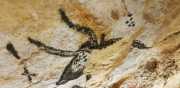 Lascaux-63