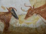 Lascaux-63A