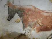 Lascaux-63C