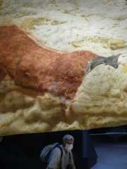 Lascaux-82