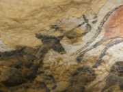 Lascaux-85