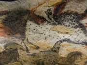 Lascaux-86