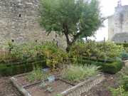 CASTELNAUD-32
