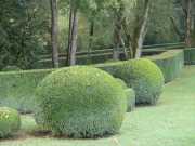 MARQUEYSSAC-11