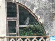 MILANDES-28