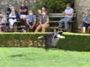 MILANDES-40