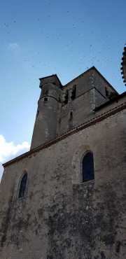 PERIGORD_J06-31