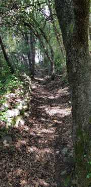 GENERARGUES_20_10-13