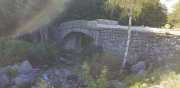 TARN3_2020_06-0