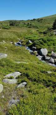 TARN3_2020_06-13