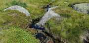 TARN3_2020_06-16