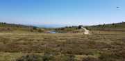 TARN3_2020_06-19