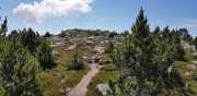 TARN3_2020_06-24