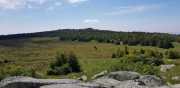 TARN3_2020_06-28