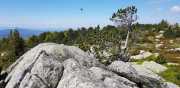 TARN3_2020_06-29