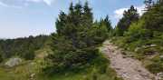 TARN3_2020_06-32