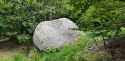 TARN3_2020_06-34