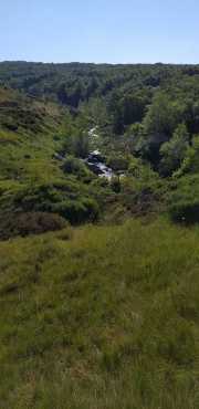 TARN3_2020_06-4