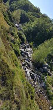 TARN3_2020_06-5