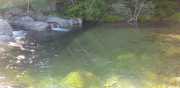 TARN3_2020_06-6