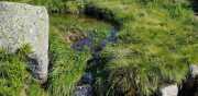TARN3_2020_06-8