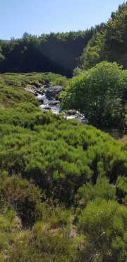 TARN3_2020_06-9