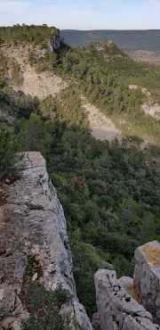 CLARET_LAURET-102