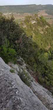 CLARET_LAURET-108