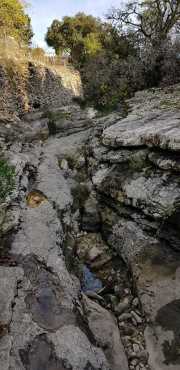 CLARET_LAURET-11
